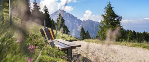 Wandern im Hirzermassiv bei Schenna, Südtirol