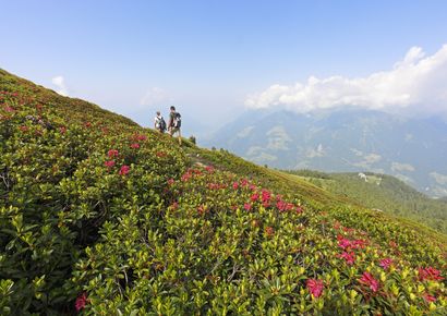 Top Wanderhotels in Schenna, Südtirol