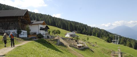 Familienausflug zur Taser Alm in Schenna, Südtirol
