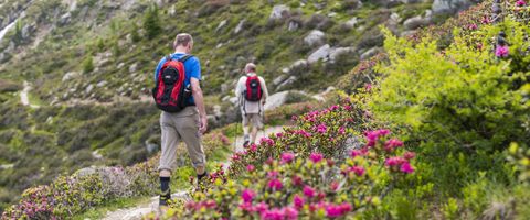 Wanderungen in Schenna und Umgebung, Südtirol