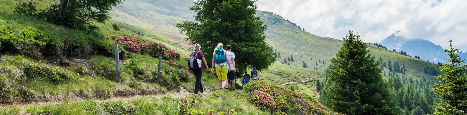 Wandern im Urlaub in Schenna Südtirol Urlaub in Schenna Südtirol