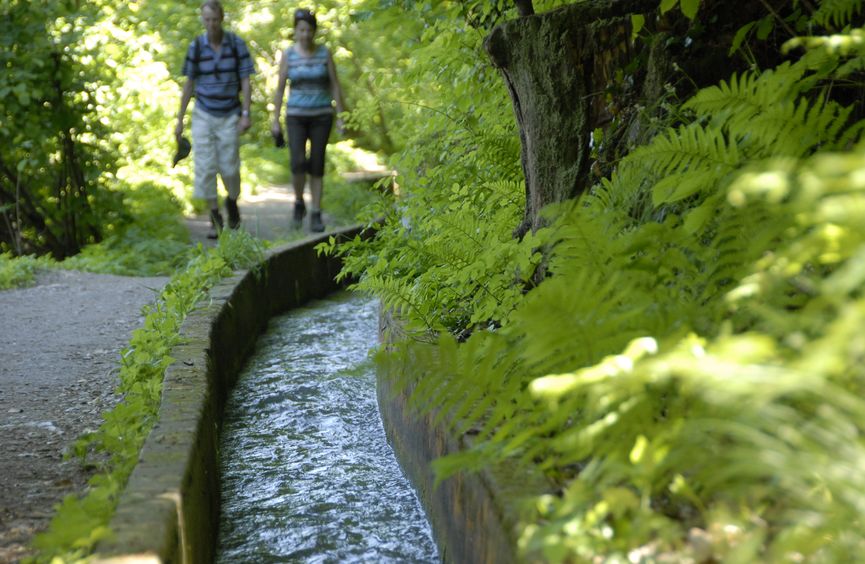 Waalwege in Schenna und Umgebung