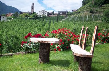 Residence Winklgut 2 Stelle Algund, Meran & Umgebung, Alto Adige, Designhotel Residence Winklgut 2 Stelle Algund, Meran & Umgebung, Alto Adige, Residence