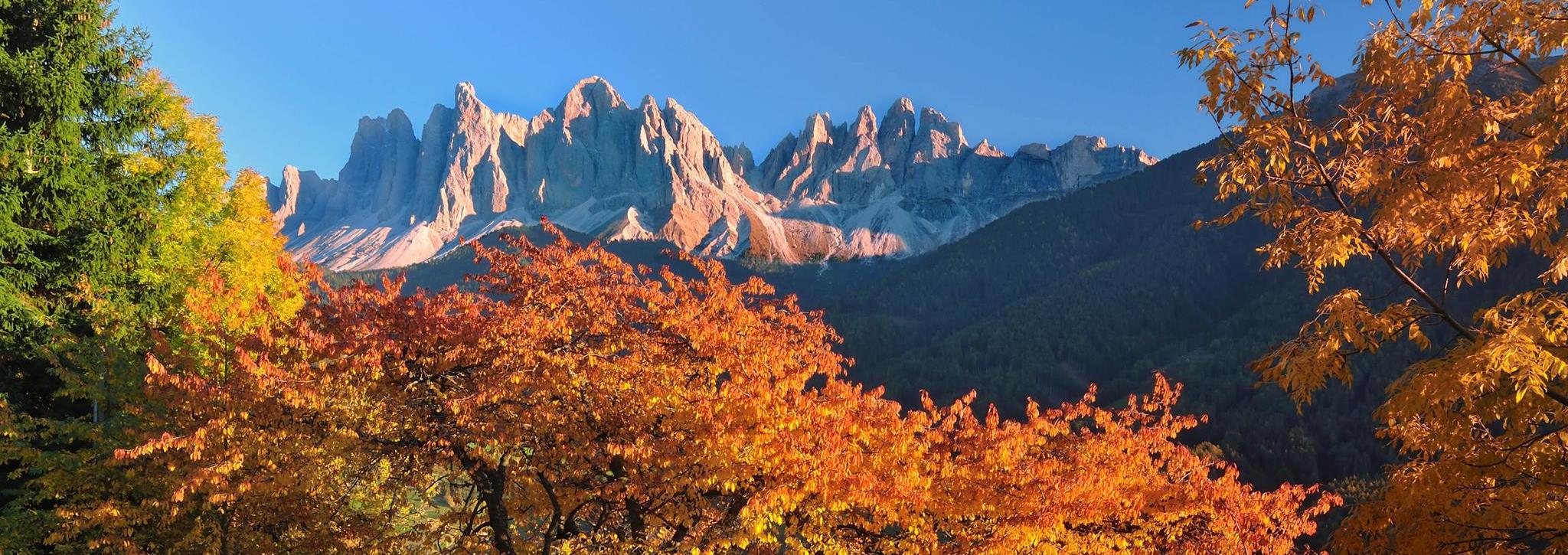 Herbst in Südtirol Herbst in Südtirol