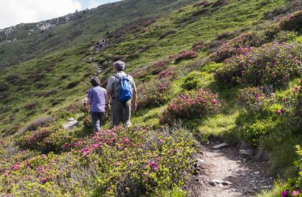 Wandern in Schenna im Hirzermassiv