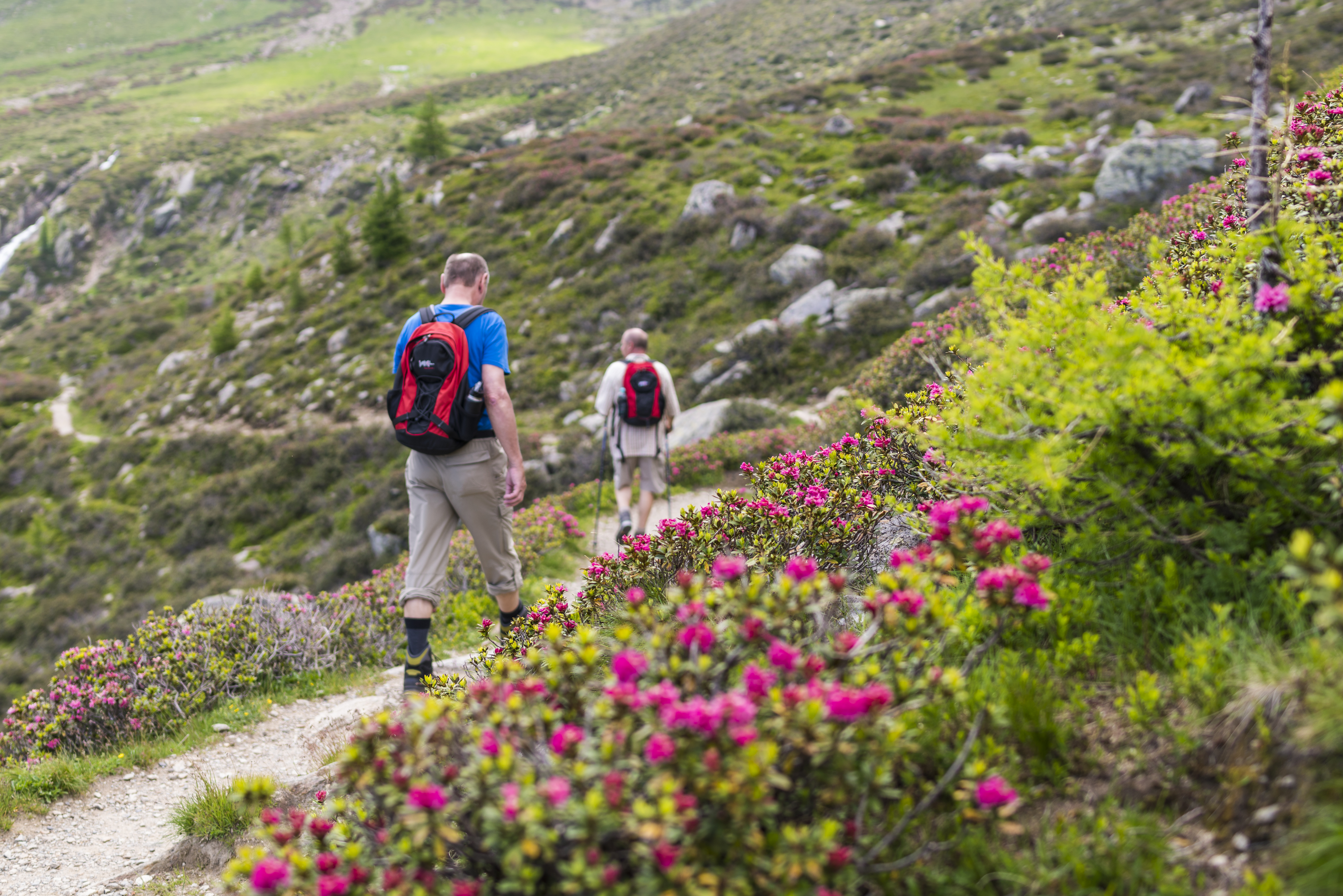 Wanderungen in Schenna und Umgebung, Südtirol